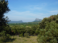 Que faire à Montpellier sport pic Saint-Loup