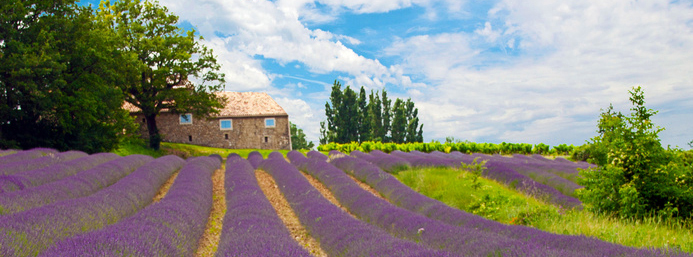 Provence 7